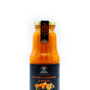NECTAR DE CATINA CU GHIMBIR SI MIERE 300 ML CAMARA COPILARIEI