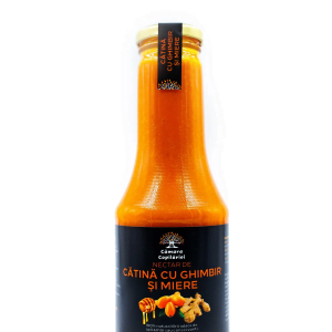 NECTAR DE CATINA CU GHIMBIR SI MIERE 500 ML CAMARA COPILARIEI